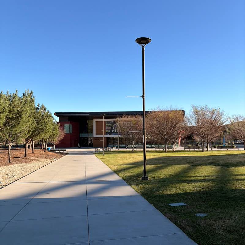 No sweet treat warriors Alexis post image