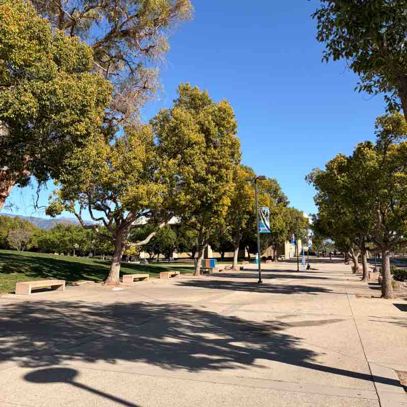 No sweet treat warriors Alexis post image