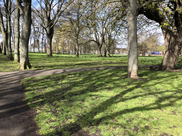 walking near me in Victoria Park in spring