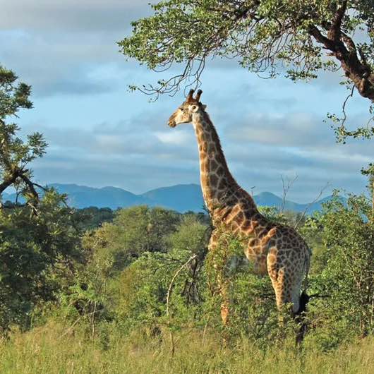 🔥 ДерZкие и Шальные🔥 Johnny E post image