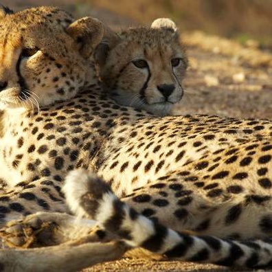 🔥 ДерZкие и Шальные🔥 Johnny E post image