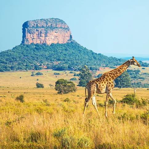 🔥 ДерZкие и Шальные🔥 Johnny E post image