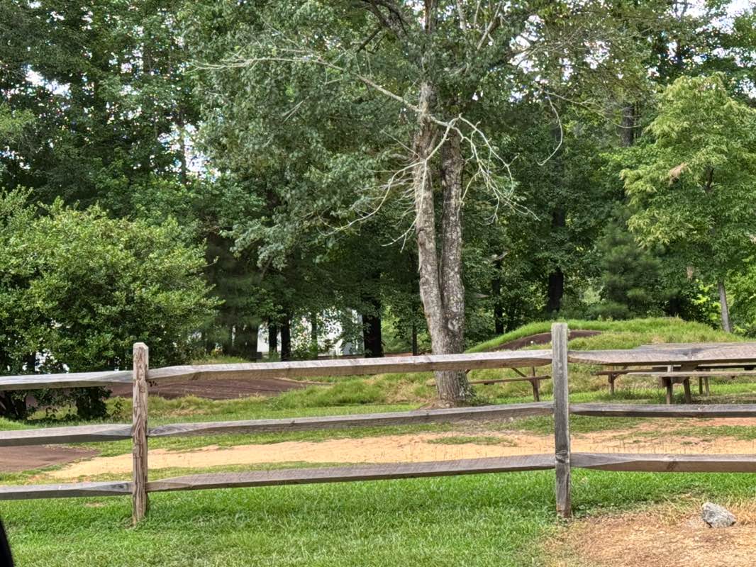walking near me in Blankets Creek Park in summer