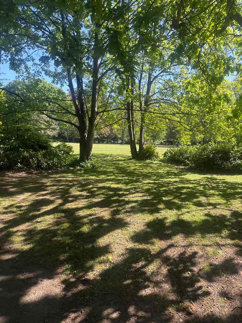 walking near me in Abington Park in spring