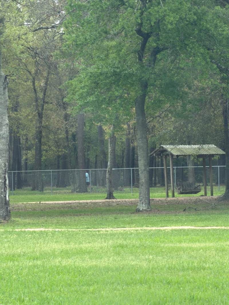 walking near me in Schott Park in spring