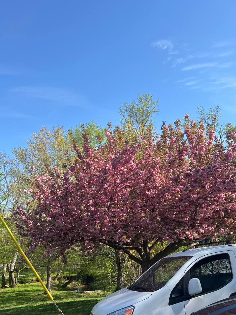 walking near me in North Park in spring