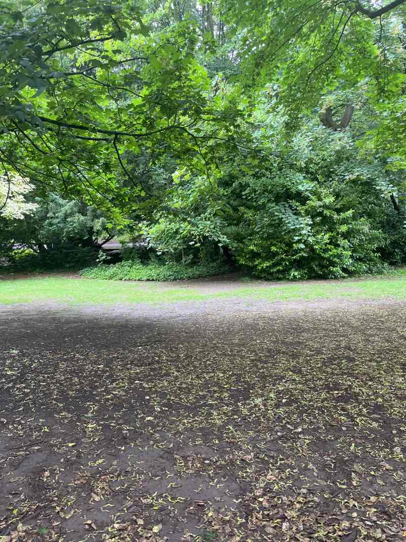 walking near me in Endcliffe Park in summer