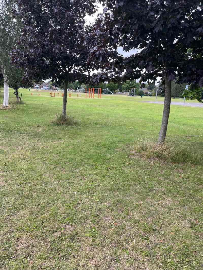 walking near me in Sindelfingen Park in summer