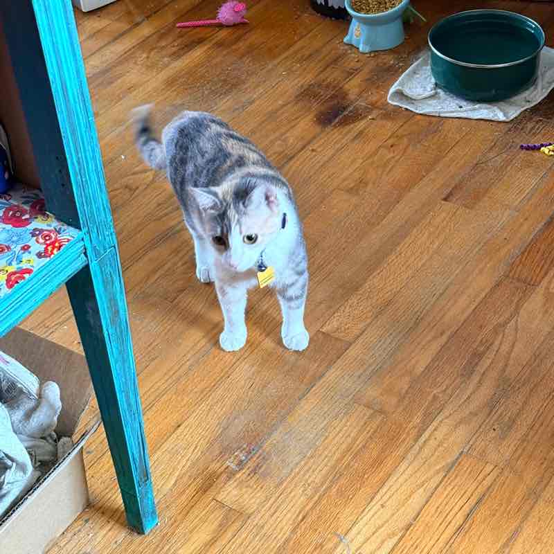 Pension Pacers Cindy post image