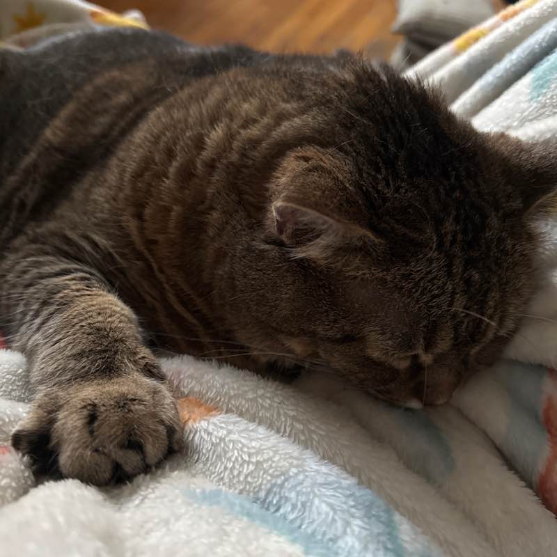 Pension Pacers Cindy post image