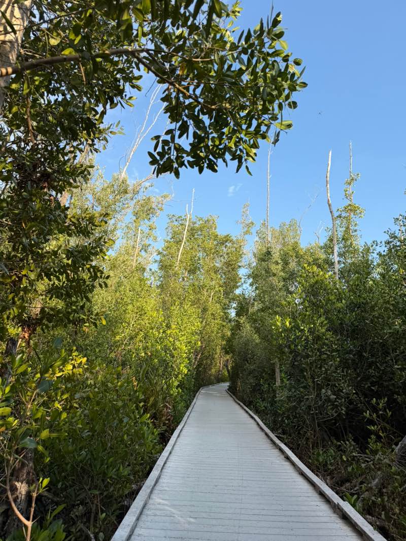 walking near me in Four Mile Cove Ecological Preserve in spring