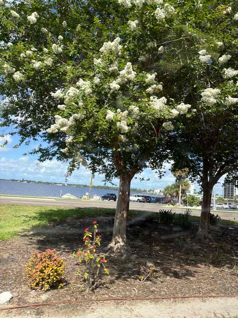 walking near me in North Shore Park in summer