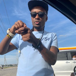 VDJ_ASSASIN 420 profile
