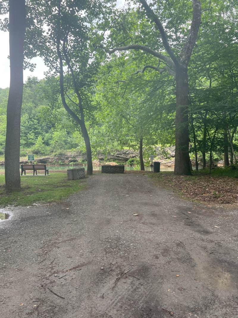 walking near me in Saylor Park in summer