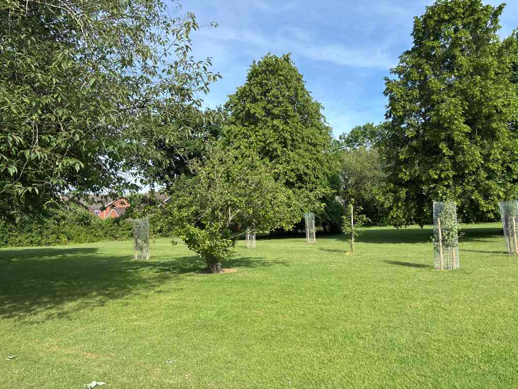 walking near me in Ellis Park in summer