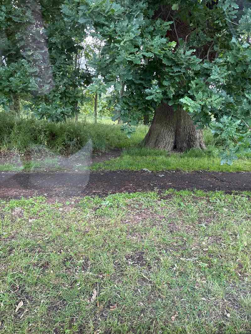 walking near me in Braunstone Park in summer