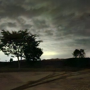 4병동/최문희/74 profile