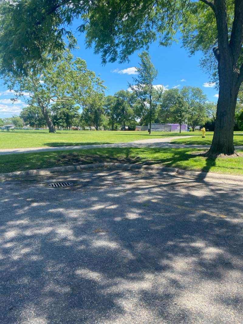 walking near me in Madison Meadow Park in summer