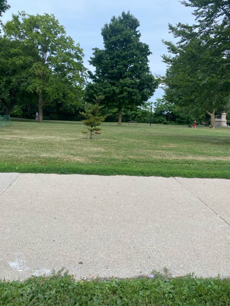walking near me in Juneau Park in summer