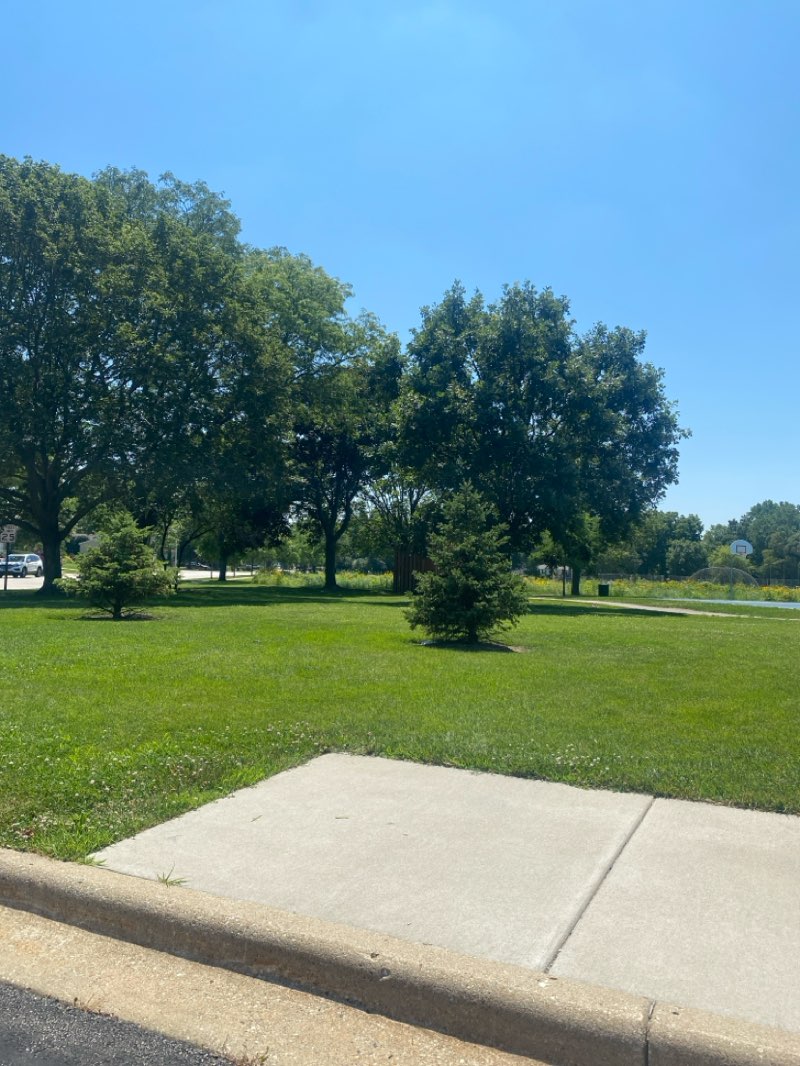 walking near me in Maple Park in summer