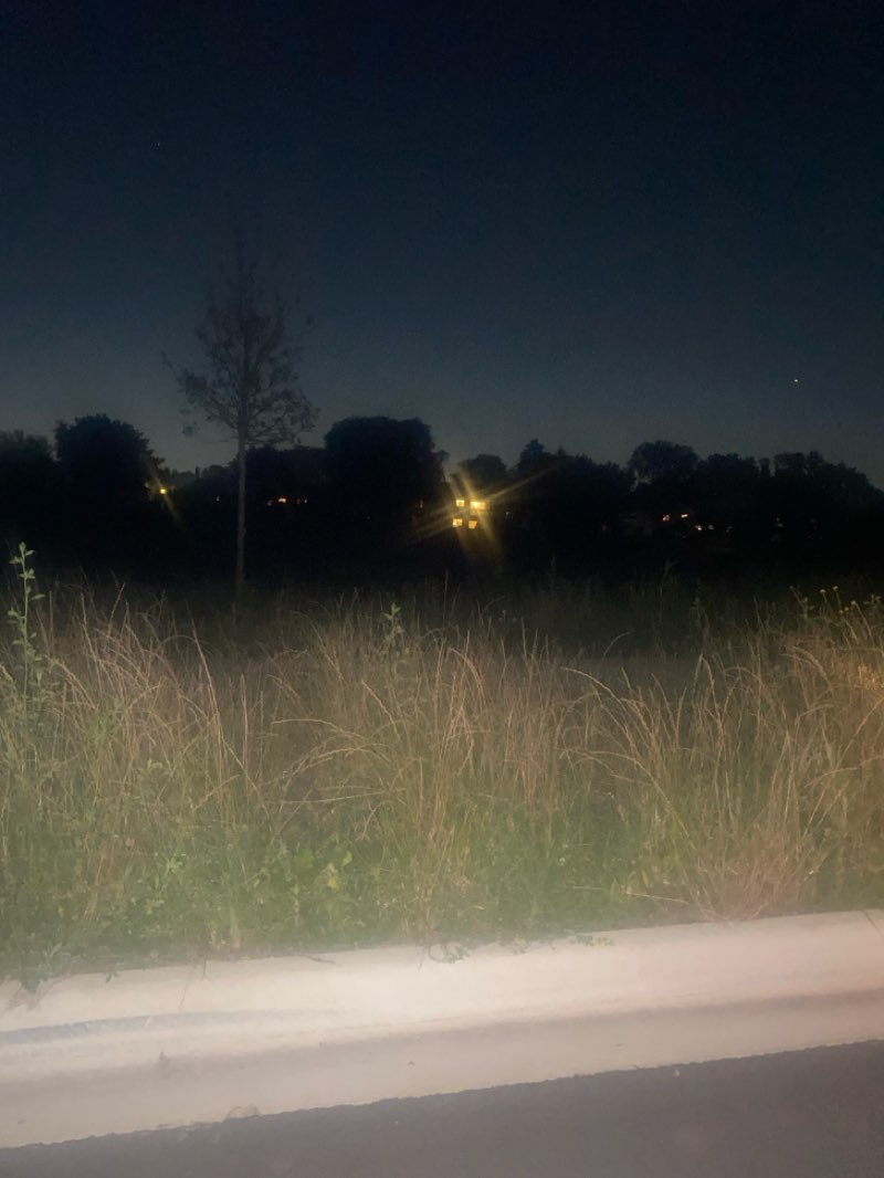 walking near me in Northwood Park in summer