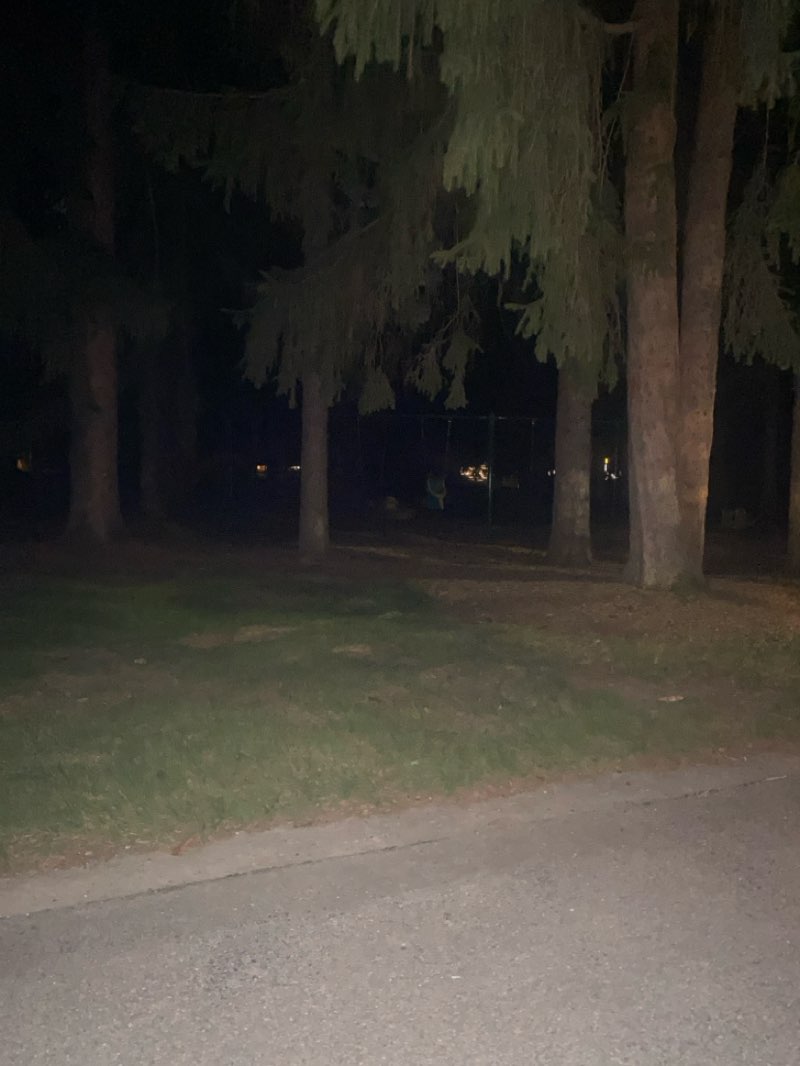 walking near me in Spring Lake Park in summer