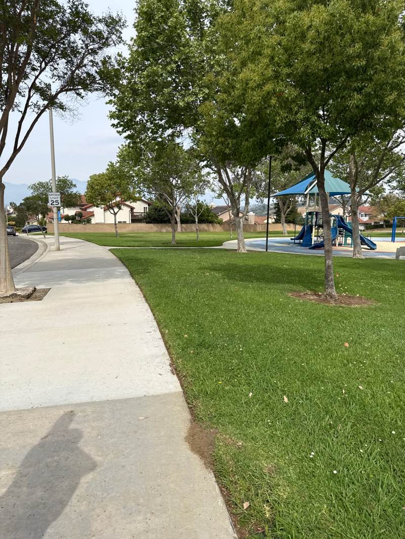 walking near me in Starshine Park in spring