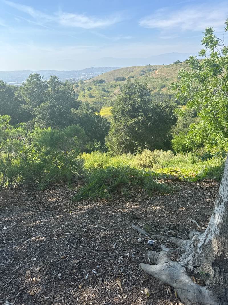 walking near me in Summitridge Park in spring