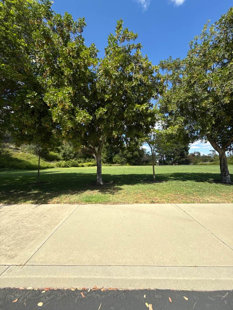 walking near me in Hidden Hills Park in spring