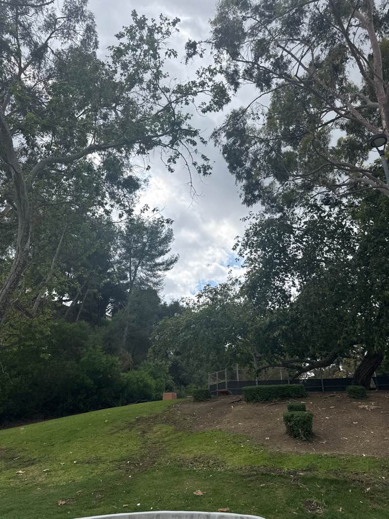 walking near me in Maple Hill Park in spring