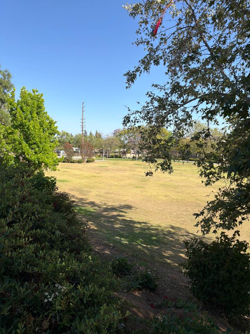 walking near me in Founders Park in spring
