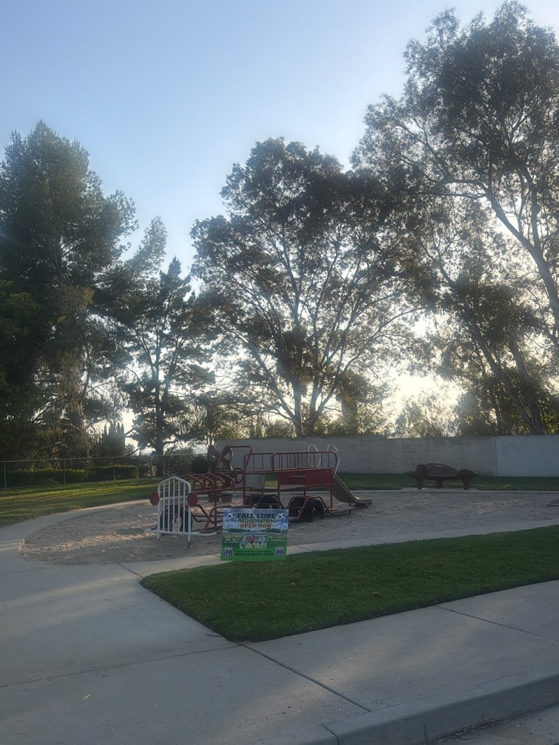 walking near me in Paul C. Grow Park in summer