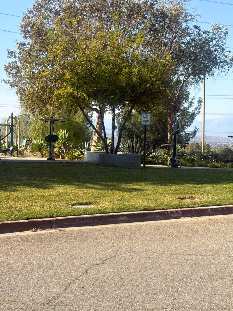 walking near me in Pathfinder Park in summer