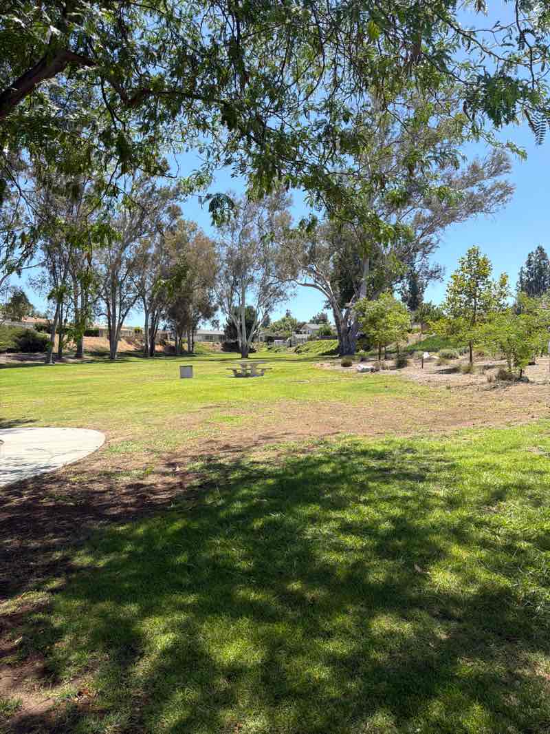 walking near me in Cinnamon Park in summer