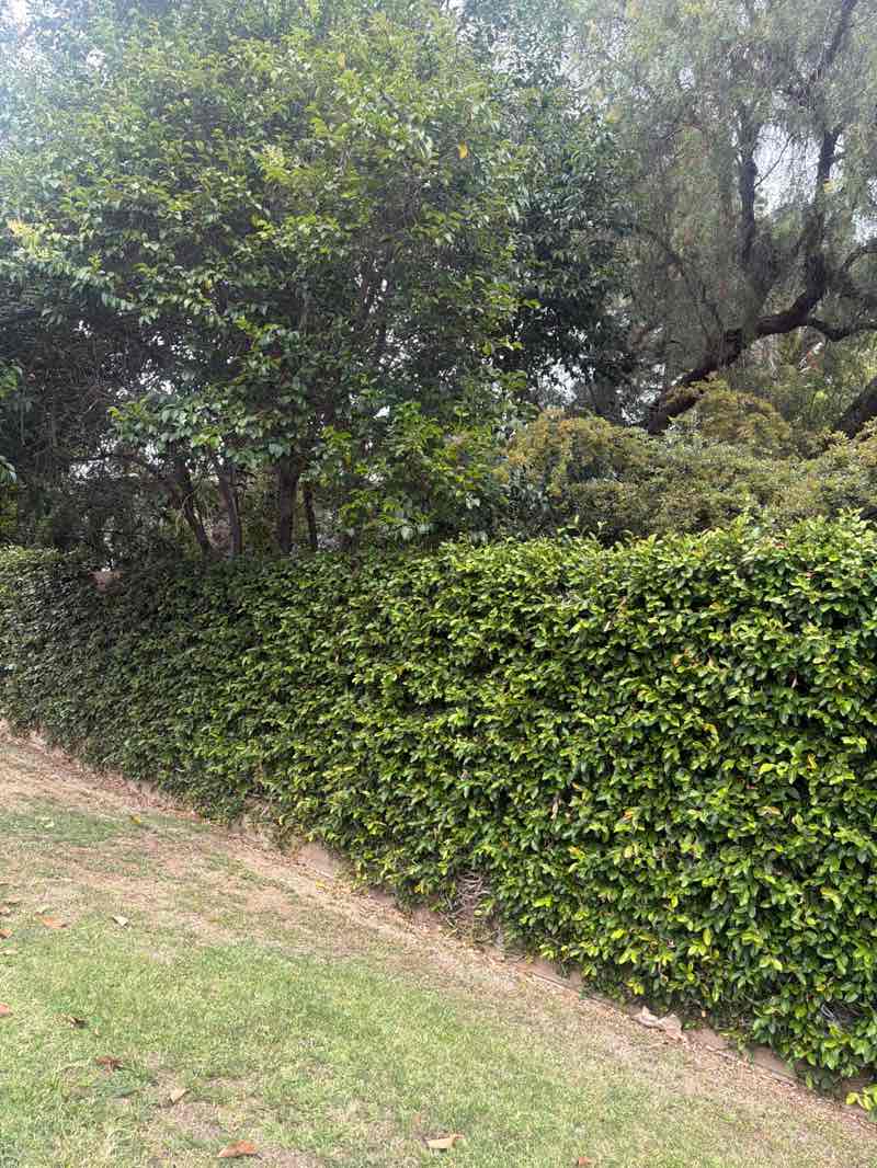 walking near me in George Key Ranch Historic Park in spring