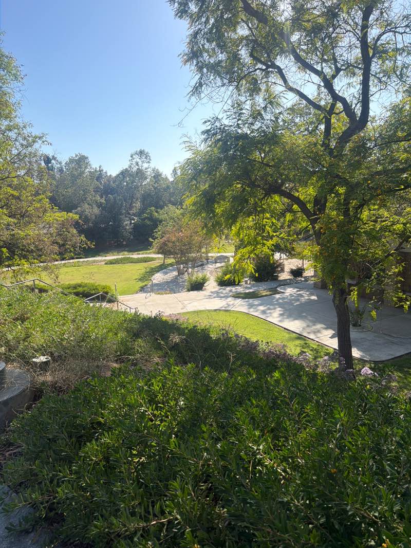 walking near me in Olinda Ranch Neighborhood Park in spring