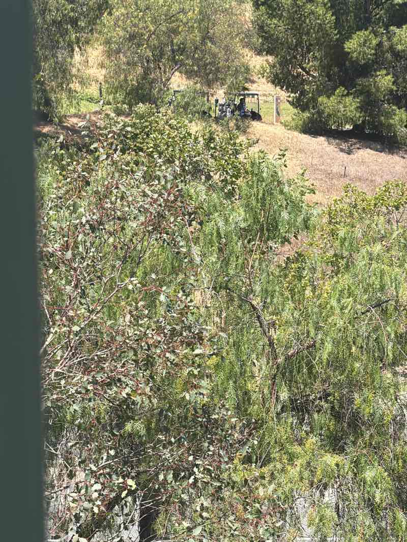walking near me in Vista Del Valle Park in summer