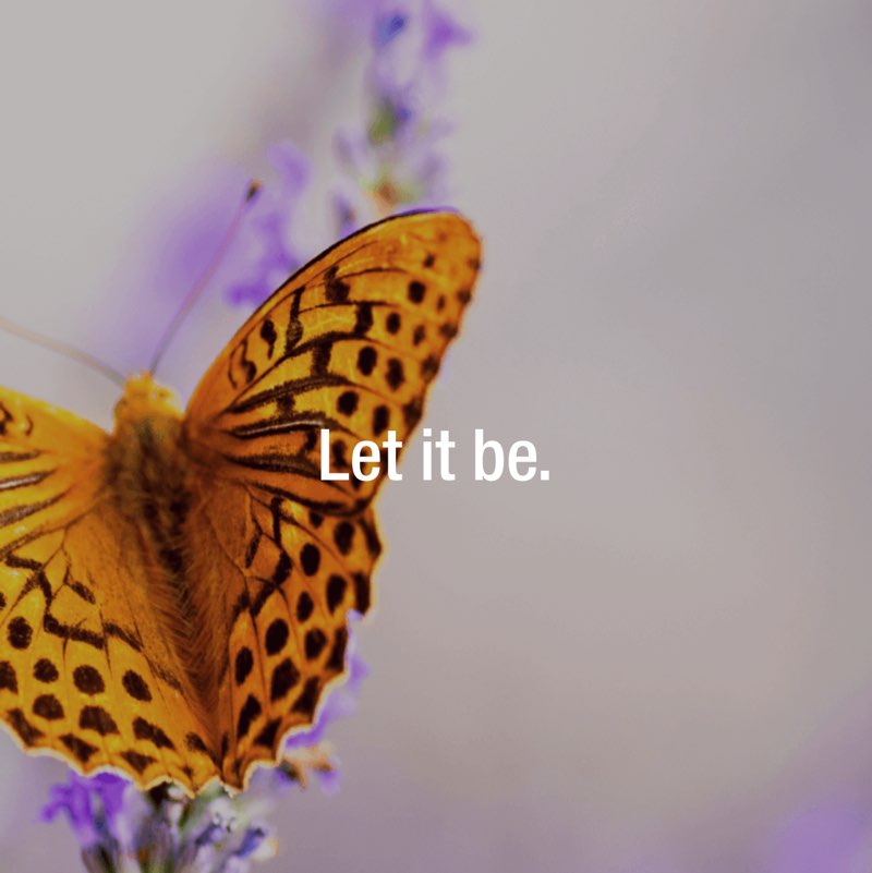 Audjob76 🐝 post 2