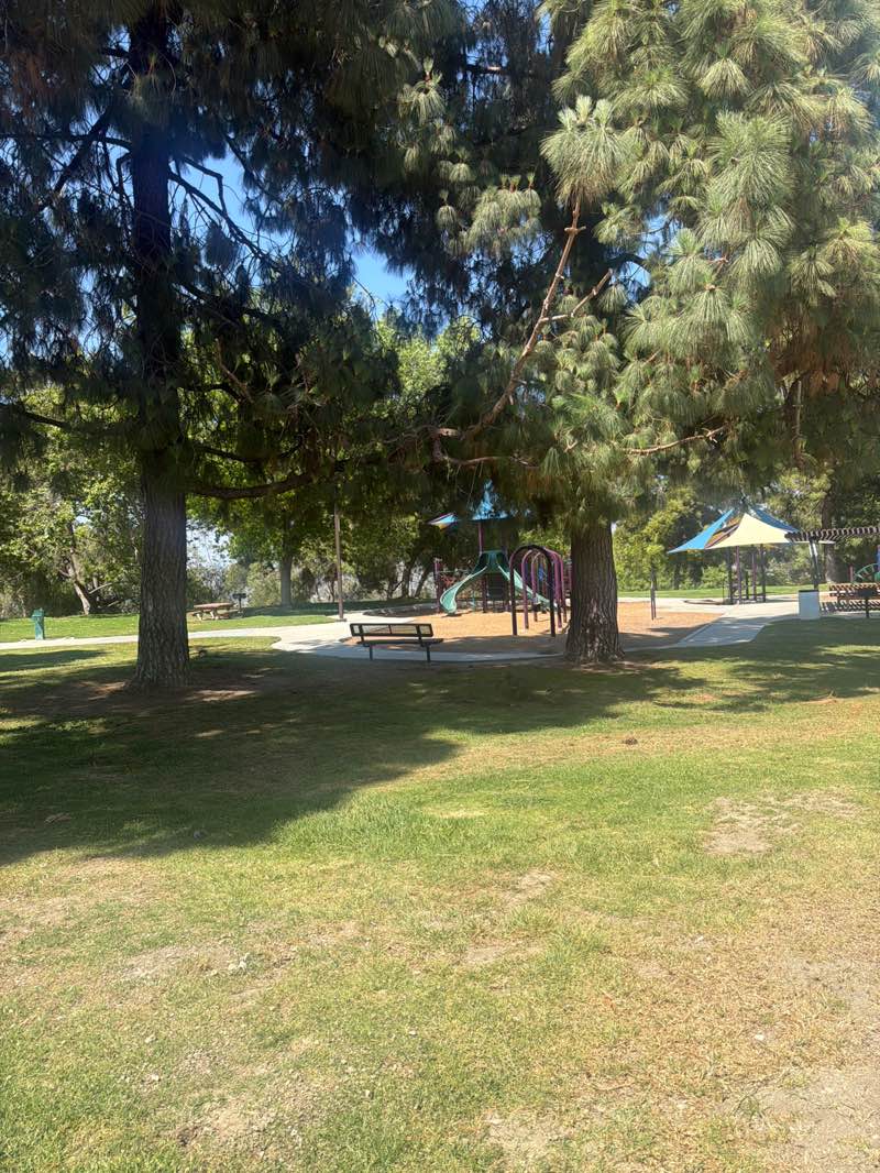 walking near me in Gloria Heer Park in summer