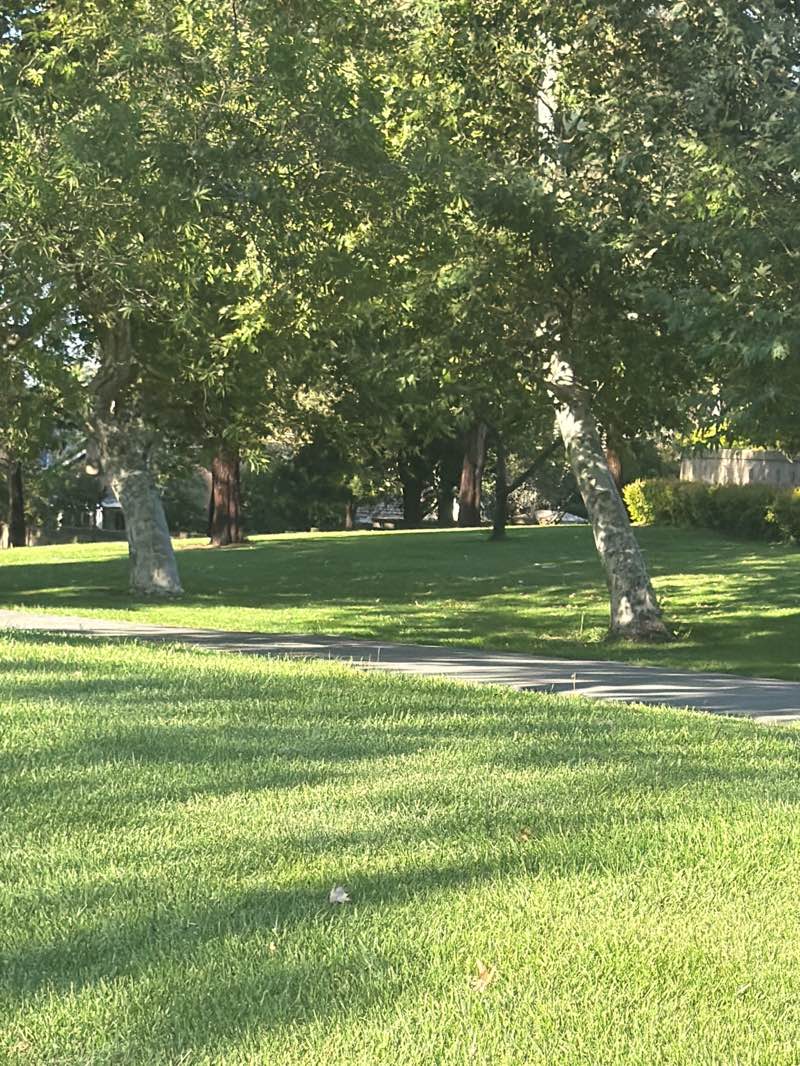 walking near me in Morningside Park in summer