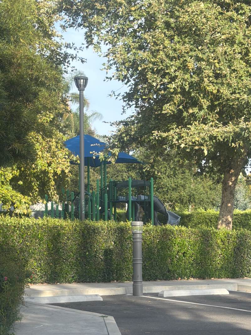 walking near me in Cougar Park in summer