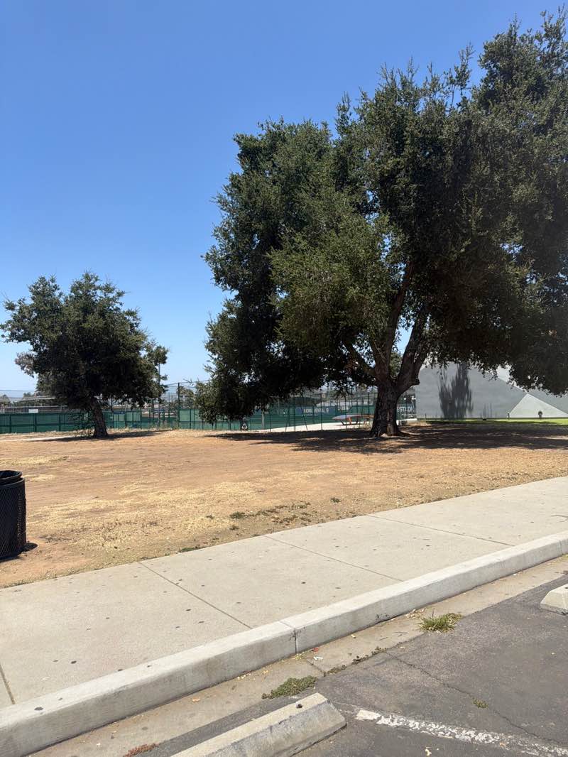 walking near me in Barranca Park in summer