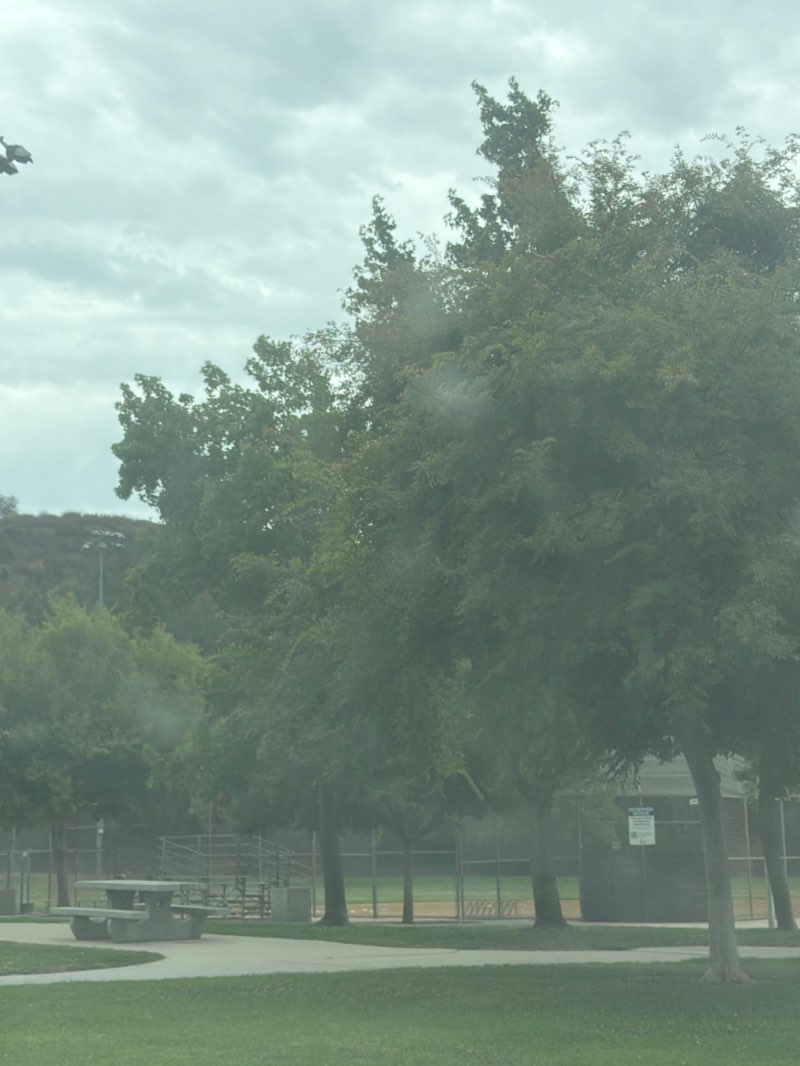 walking near me in Carlton J. Peterson Park in summer