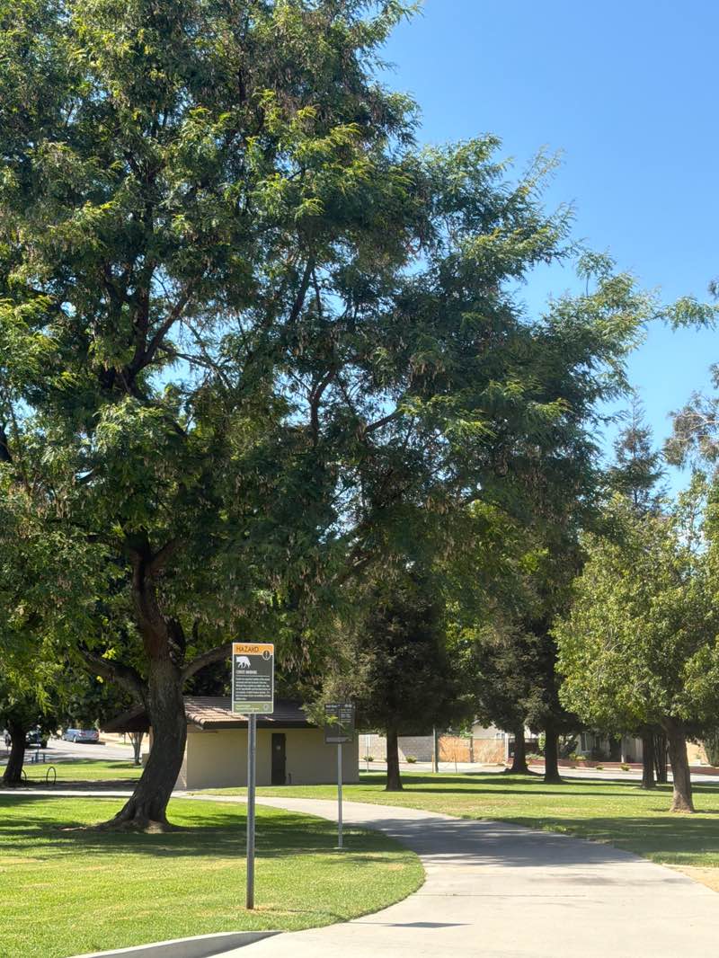 walking near me in Thomas S. Burton Park in summer