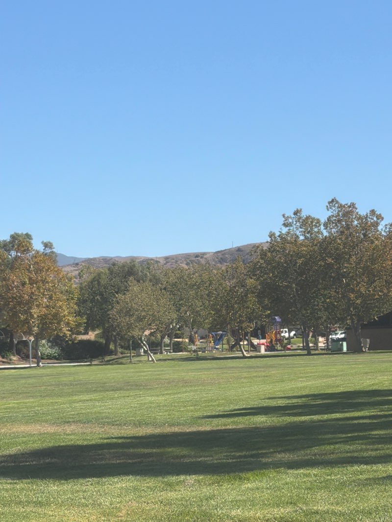 walking near me in Hunters Hill Park in summer