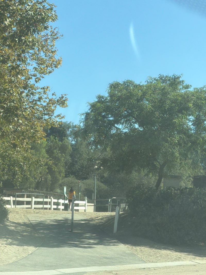 walking near me in Buena Vista Equestrian Park in summer