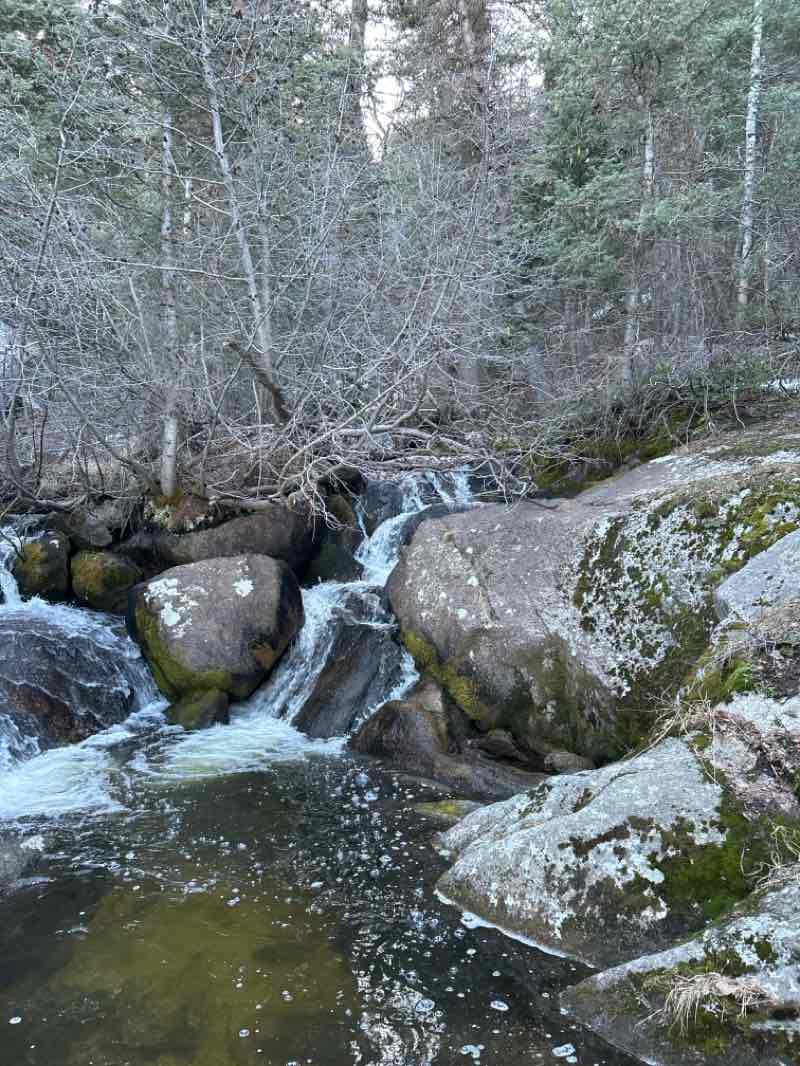 walking near me in Bell Canyon Preservation Trailhead in spring