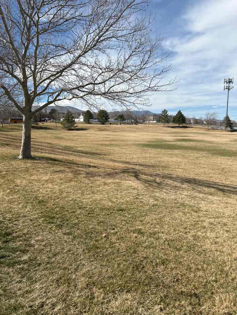 walking near me in Foothills Park in spring