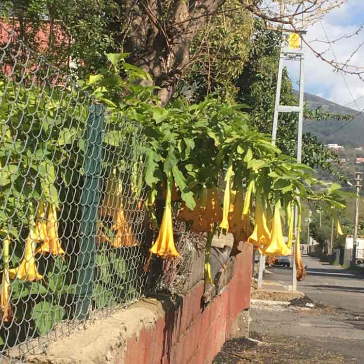 💕10.000 adıma haydi💕 Emine post image