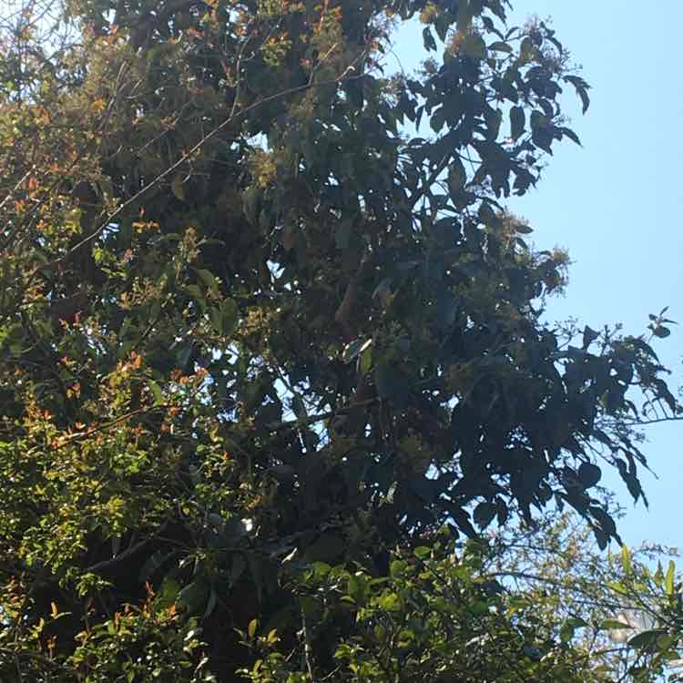 💕10.000 adıma haydi💕 Emine post image